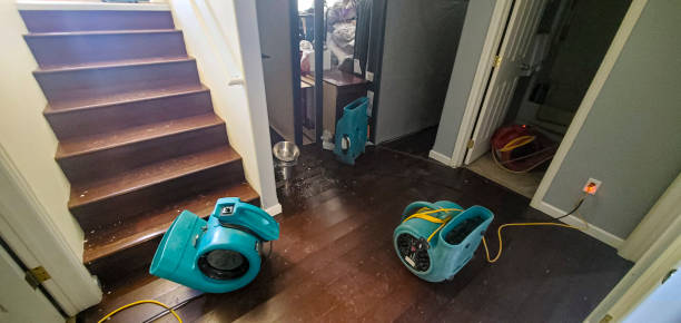 Best Mold removal after water damage  in Bayou Country Clu, LA