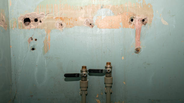Best 24/7 water damage repair  in Bayou Country Clu, LA