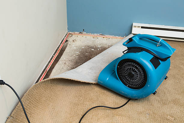 Water damage restoration experts in Bayou Country Clu, LA